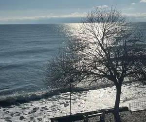  (Пенка Ватова, 01.01.2026)